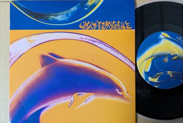 hofgeest　gabber レコード　まとめ売り【28枚セット】 hofgeest gabber レコード まとめ売り【28枚セット】 TEACH THEM SUMUH